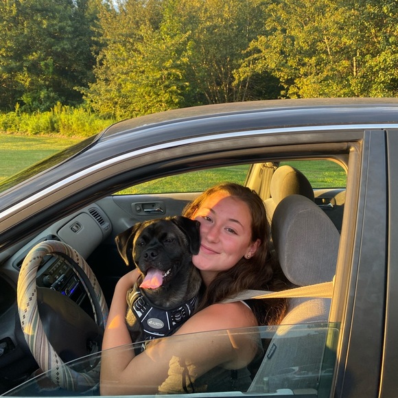 Meet your Posher, Ella - Picture 1 of 1